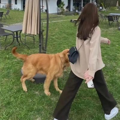 谎言的诞生